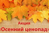 Акция «Ценопад»: подарки от нашего оздоровительного комплекса!